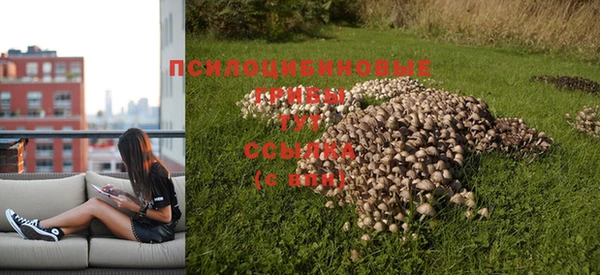 первитин Алексин