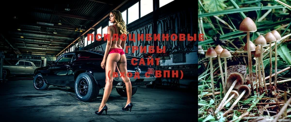 spice Алзамай